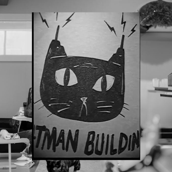 Catman Building T-Shirt